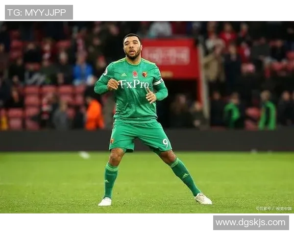 南安普顿主场迎战加迪夫城期待精彩对决与胜利之争