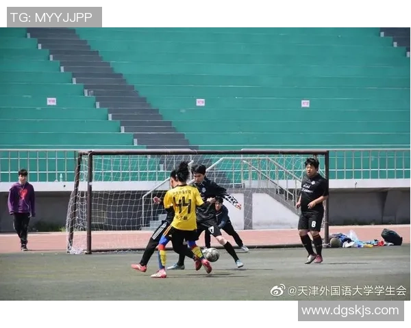 西安排球队阵地战解析:战术布局与球员配合的深度剖析