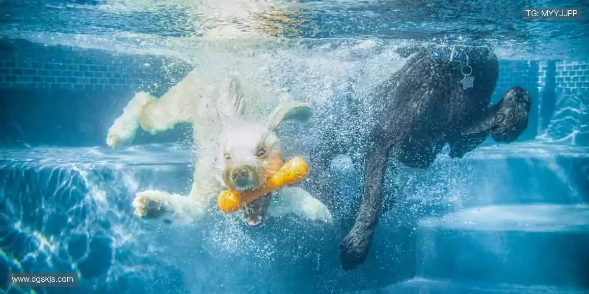 🔥 赛事预告早知道，闹钟一响，热血开跑！